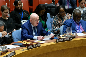 Небензя призвал СБ ООН рассмотреть вопрос санкций против Израиля Небензя призвал СБ ООН рассмотреть вопрос санкций против Израиля