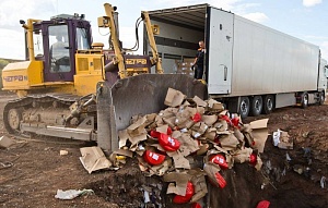 Россия продлила на год продовольственное эмбарго Россия продлила на год продовольственное эмбарго