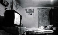 «Контент» для дебилов «Контент» для дебилов