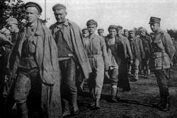 Скелет в польском шкафу Скелет в польском шкафу
